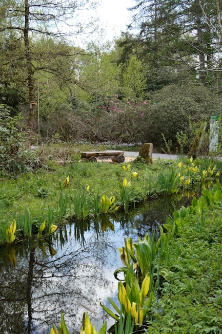 Как пережить весенний авитаминоз без БАДов