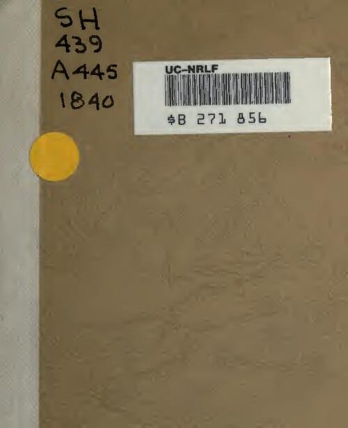 Масла для лица: какие полезны, а какие забивают поры